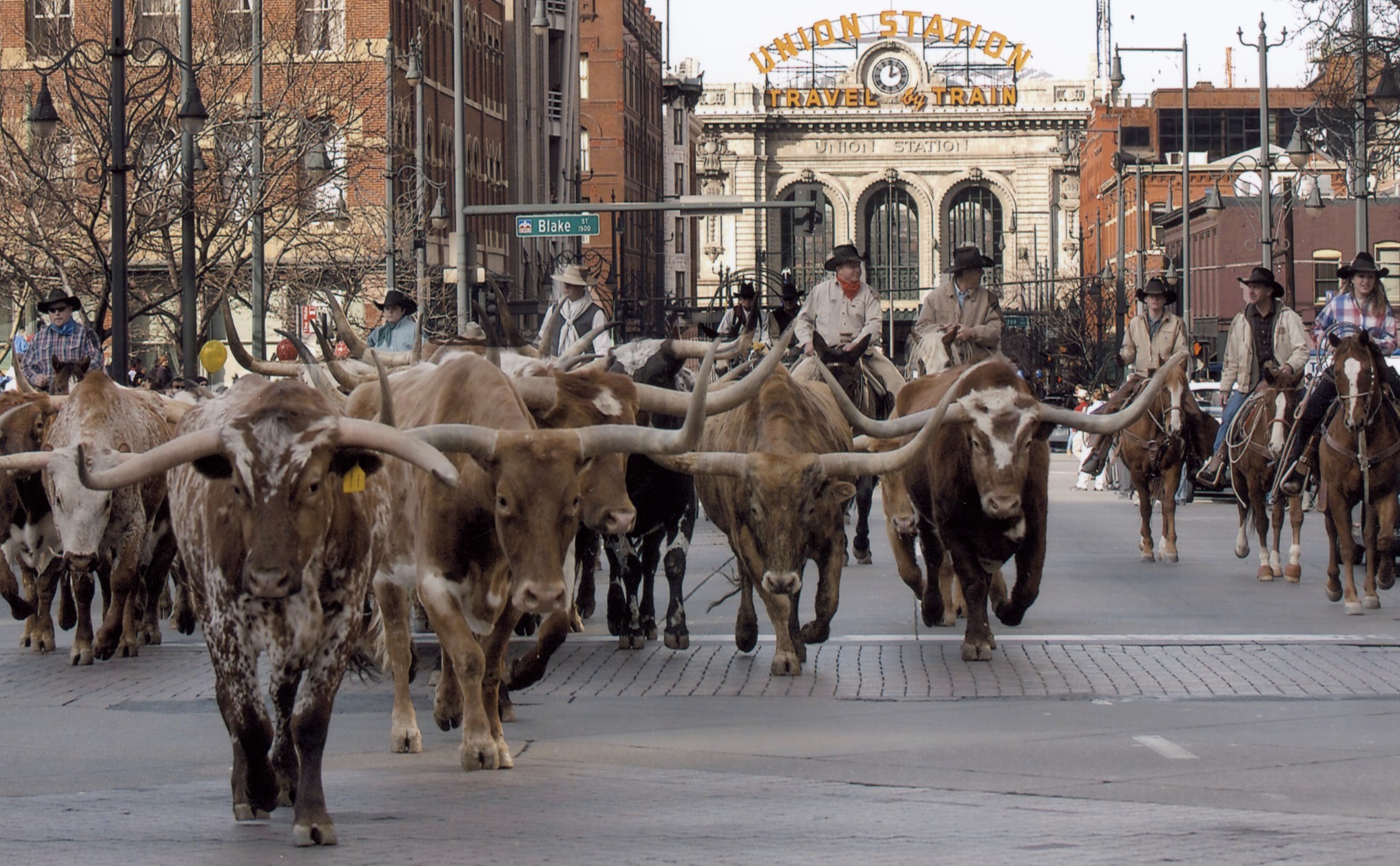 National Western Stock Show parade: What you need to know